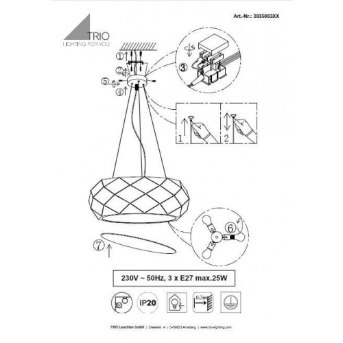 Люстра Trio ZANDOR 303500331