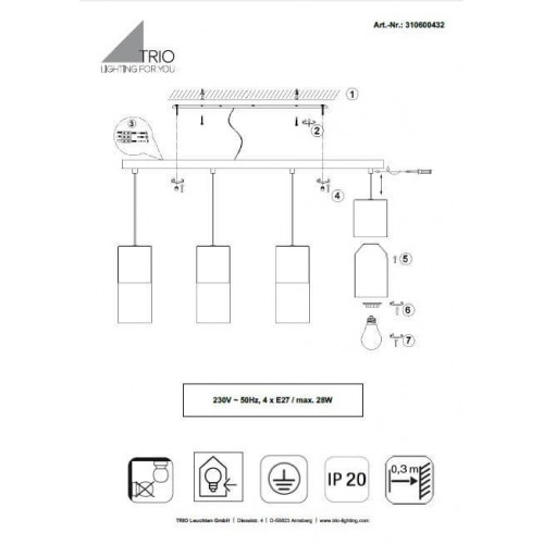 Люстра Trio ROBIN 310600432