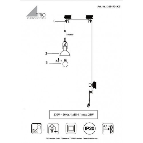 Люстра TRIO DELIA 305170167