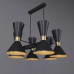 Люстра Pikart DUALIGHT 11538-4