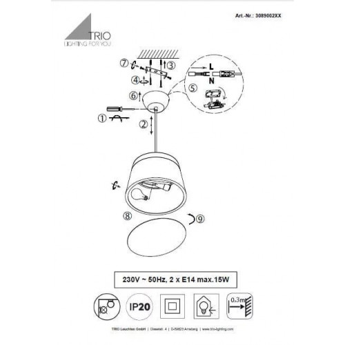 Люстра Trio BARONESS 308900242