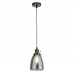 Люстра Searchlight PENDANTS 1921-1BC
