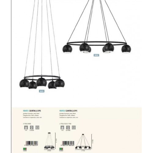 Люстра Eglo CANTALLOPS 98455
