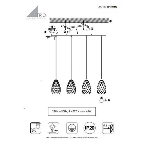 Люстра Trio ONYX 301300442