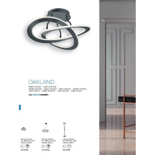 Люстра Trio OAKLAND 321710142