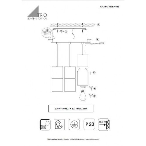 Люстра Trio ROBIN 310630332