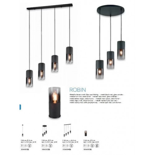 Люстра Trio ROBIN 310630332