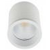 Точковий світильник MAXlight TUB C0155