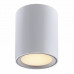 Точковий світильник Nordlux Fallon 47550132
