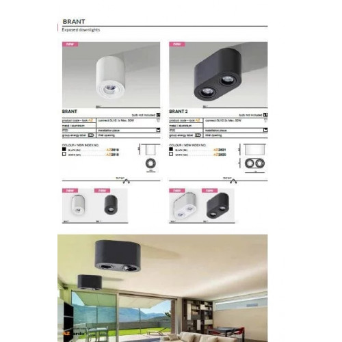 Точковий світильник AZzardo BRANT 2 IP44 AZ2817