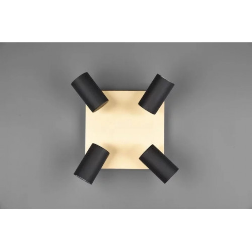 Стельовий світильник Trio MARLEY 802430480