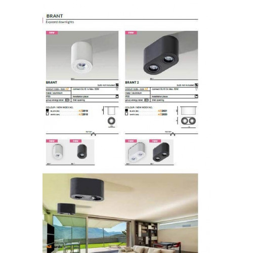 Точковий світильник AZzardo BRANT 2 IP44 AZ2817