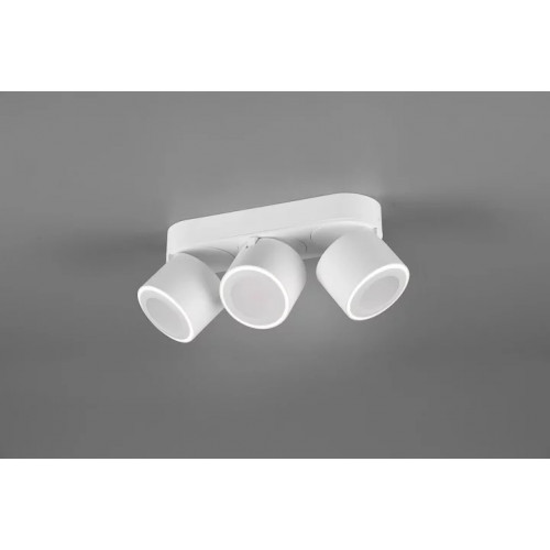 Стельовий світильник 2 в 1 Trio TAURUS 652910331