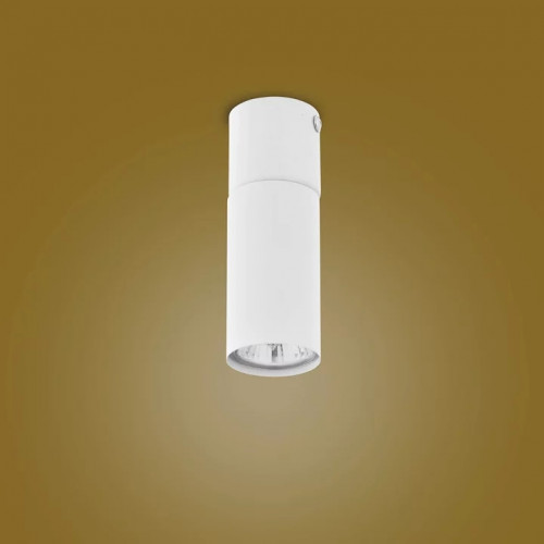 Точковий світильник TK Lighting LOGAN WHITE 4421