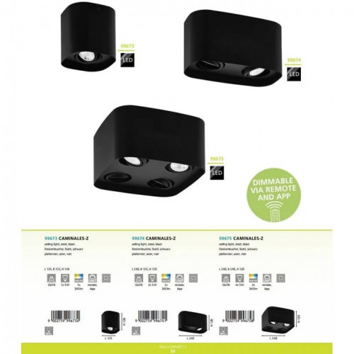 Точковий світильник Eglo CAMINALES 99675