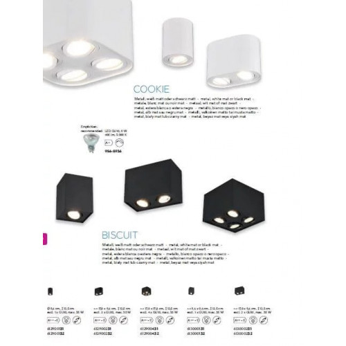 Точковий світильник Trio BISCUIT 612900231