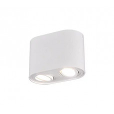 Точковий світильник Trio BISCUIT 612900231