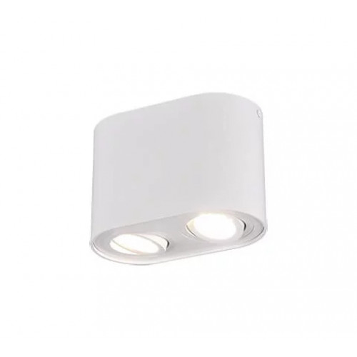 Точковий світильник Trio BISCUIT 612900231