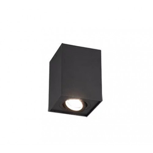 Точковий світильник Trio BISCUIT 613000132