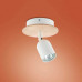 Точковий світильник TK Lighting TOP WOOD 3294