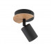 Стельовий світильник TK Lighting ALTEA 3414