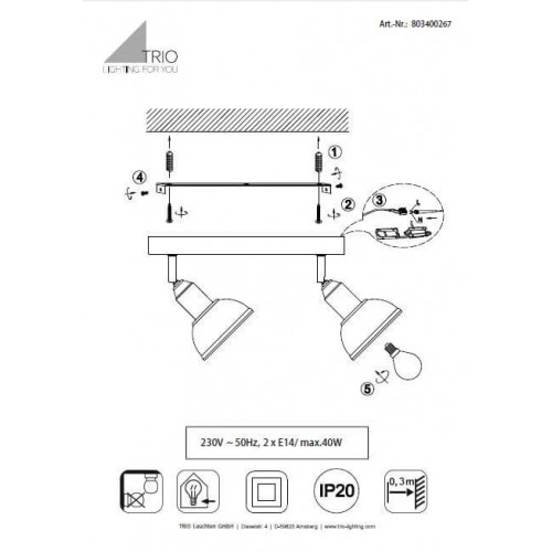 Стельовий світильник Trio DELHI 803400267