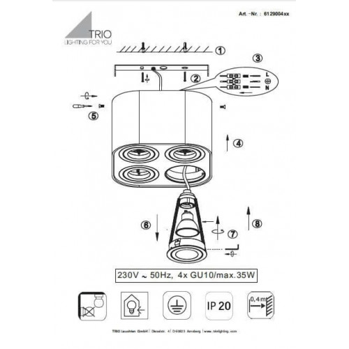 Точковий світильник Trio BISCUIT 612900432