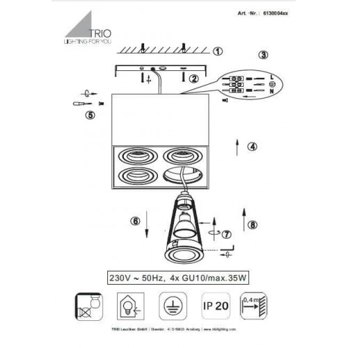 Точковий світильник Trio BISCUIT 613000431