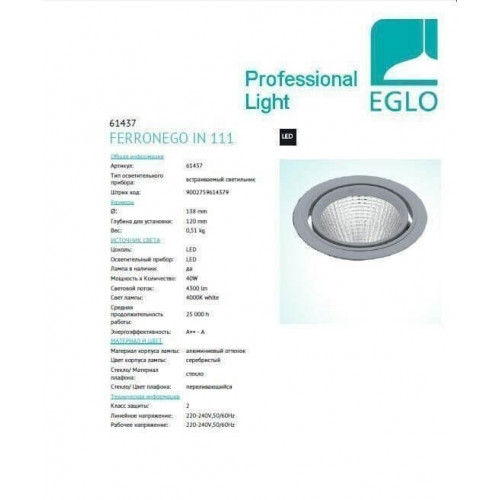 Точковий світильник Eglo FERRONEGO 61437