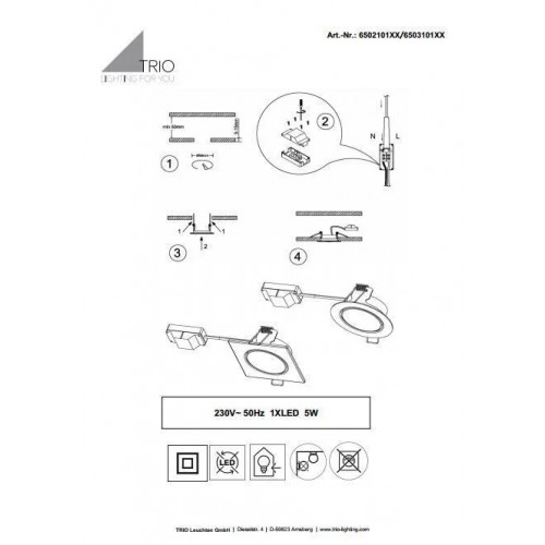 Точковий світильник Trio Rila 650210306