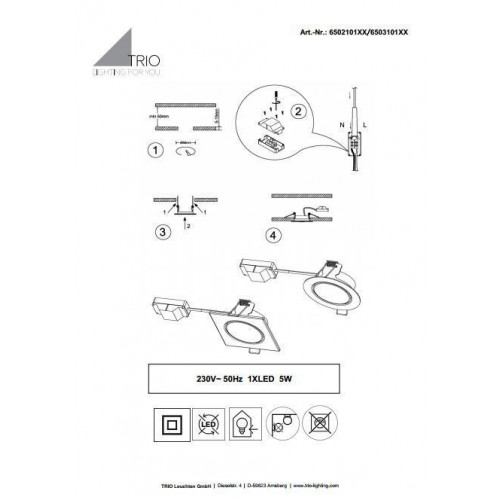 Точковий світильник Trio Rila 650210106