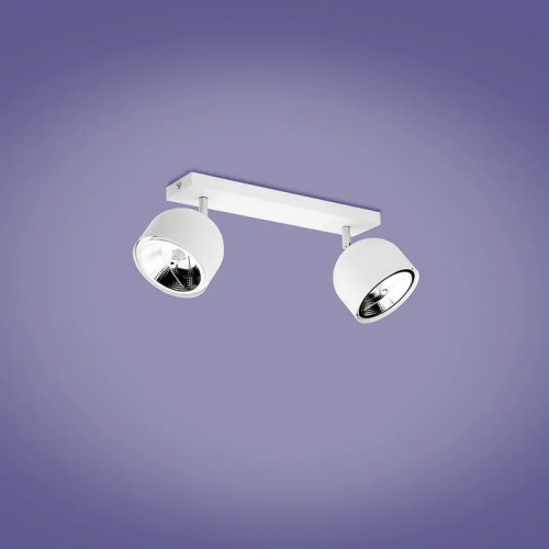 Точковий світильник Trio Zagros 650710132