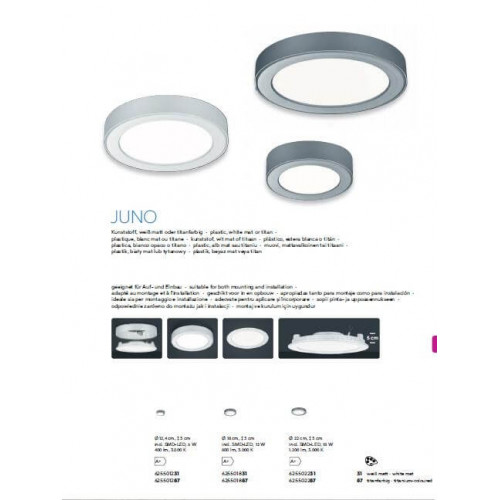 Точковий світильник TRIO JUNO 625501887