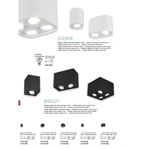 Точковий світильник Trio BISCUIT 612900232