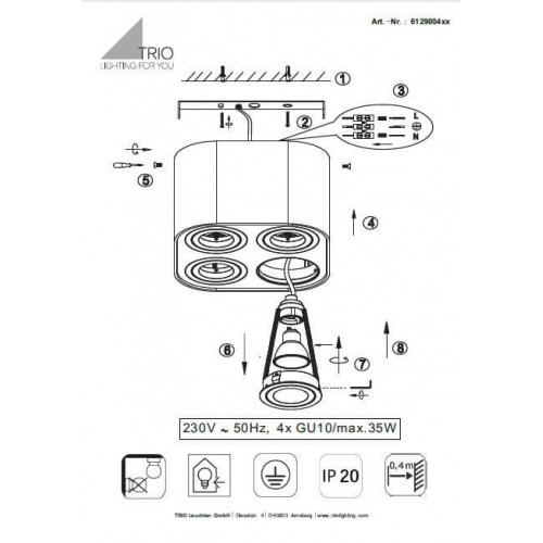 Точковий світильник Trio BISCUIT 612900432