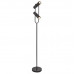 Торшер Searchlight TELESCOPE EU2792BK