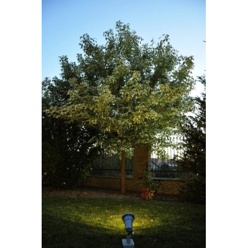 Світильник вуличний Norlys 1594B SANDE